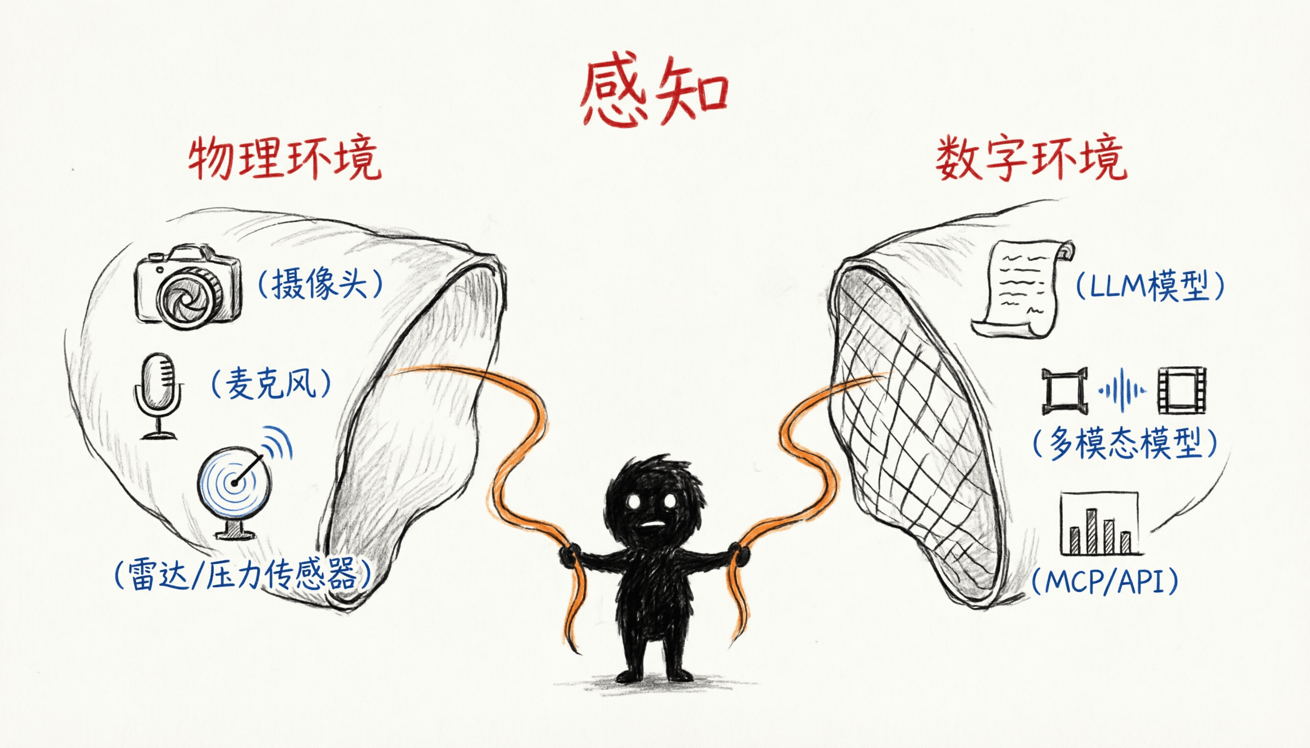 感知双网络